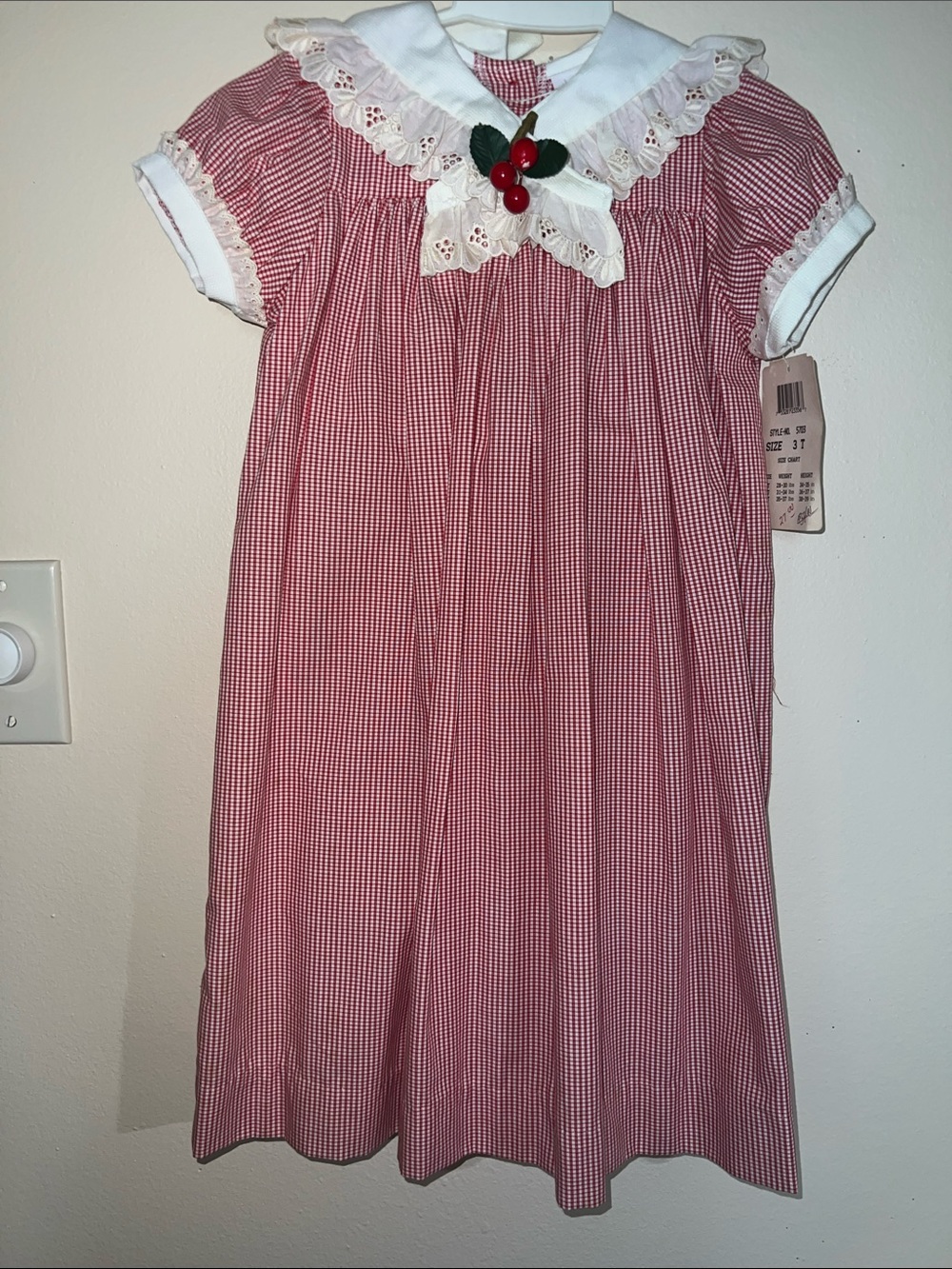 Vintage Girls Red Gingham Dress with White Peter Pan Collar and Cherry Pin